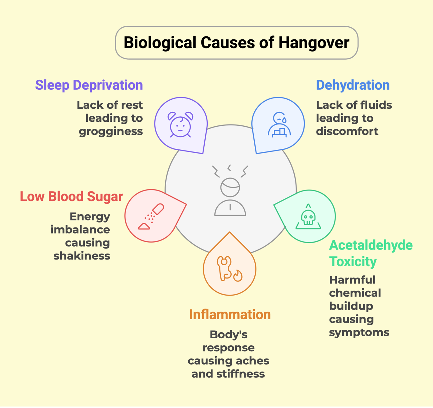 The five biological causes of hangovers — dehydration, acetaldehyde toxicity, sleep disruption, blood sugar drop, and inflammation
