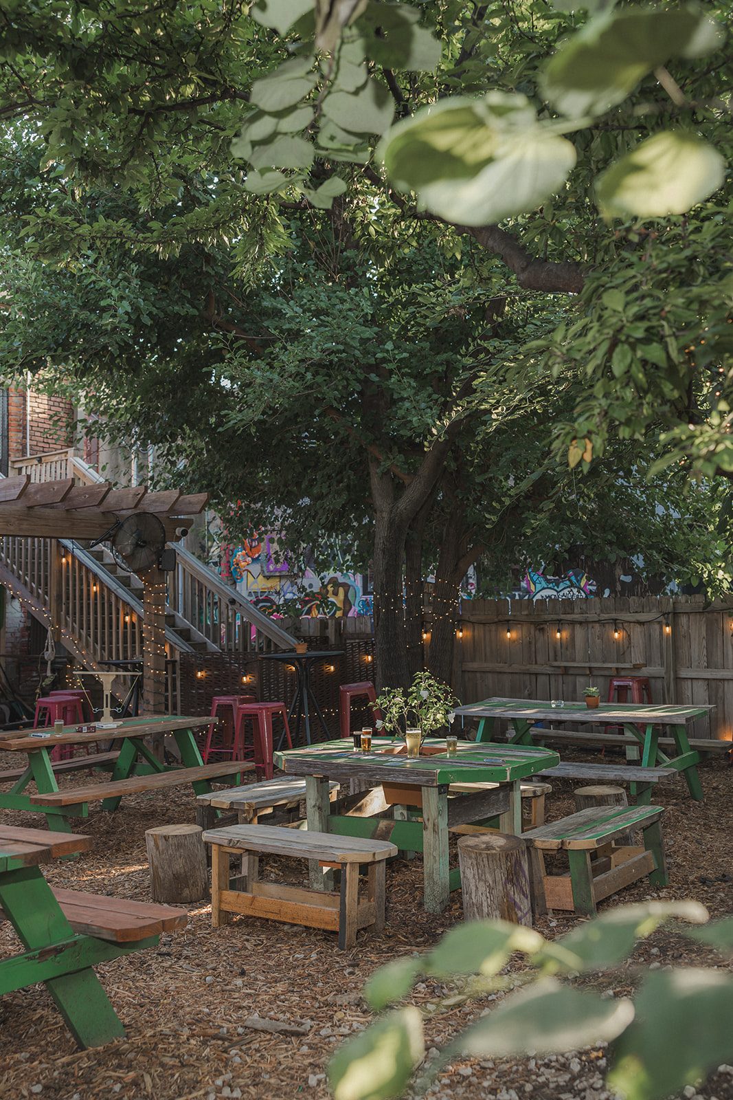The Border Brewing patio seen through green leaves in the foreground