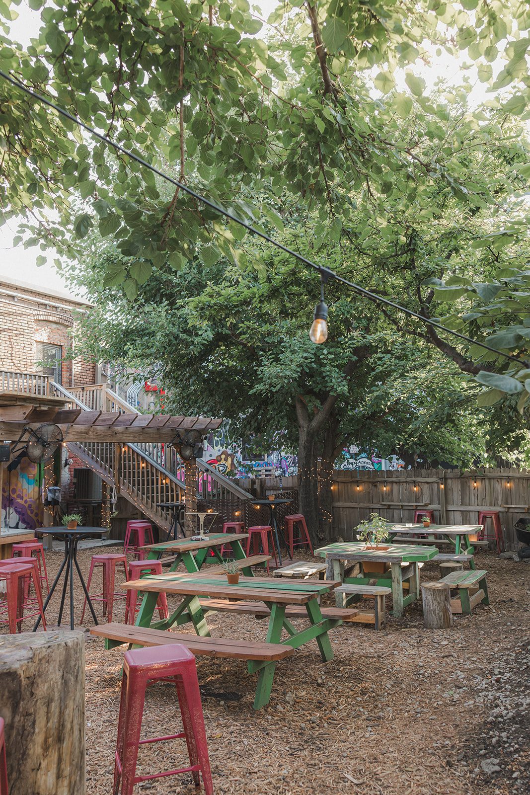 Tall view of the tree canopy and string lights above the picnic tables on the Border Brewing patio