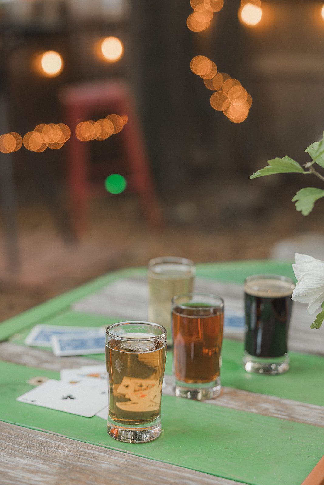 A flight of four Border Brewing beers on a green table with string lights behind