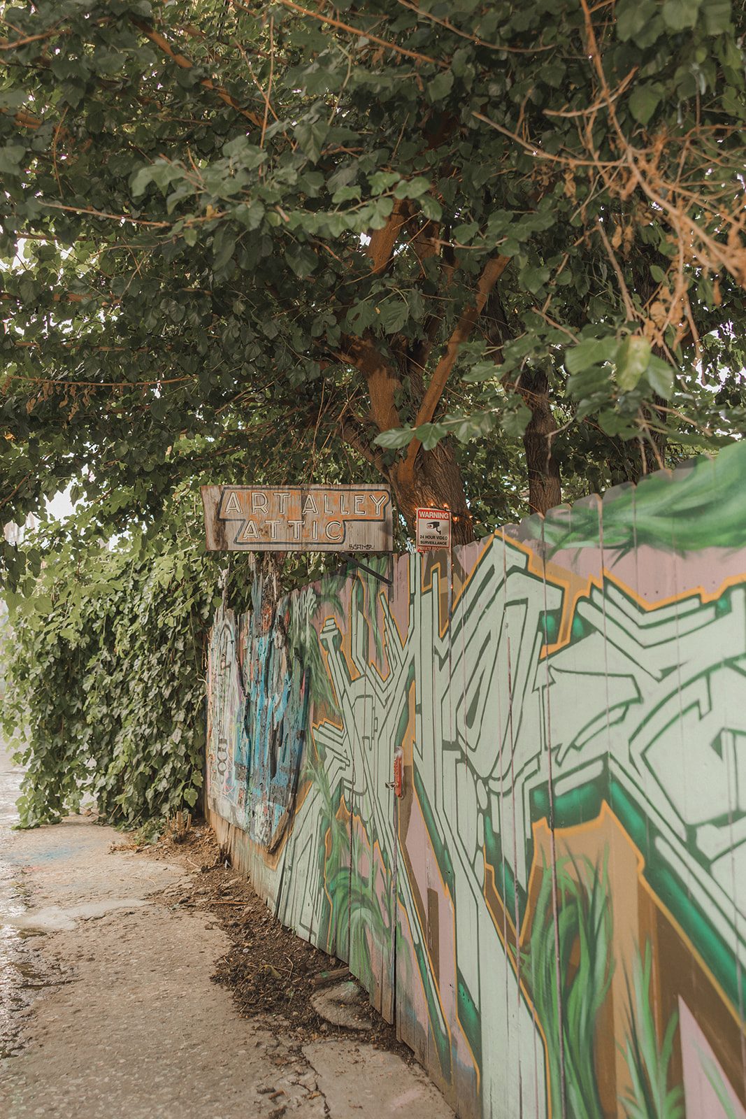 Graffiti mural along the alley wall beside Border Brewing in the Crossroads